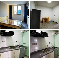 ������Ԣֱ��