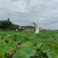 ����ֱ�⣬�ٰ�����һ��һ��һ��һ��900Ԫ