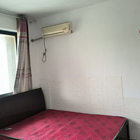 ̫����11��503��������һ���շ�����