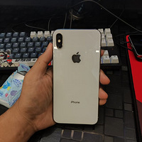 iPhonexsmax64g