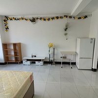 ��ɽ���Ƽ��ǵ���վ�Աߣ�ε��óǱ�����Ԣ��1050����ֱ��