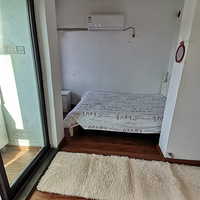 ��������С���������������ؼ�499������ֱ�����н��