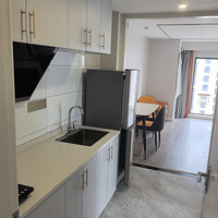 ����������Ԣ����