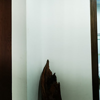 ʯ��Сѧ����