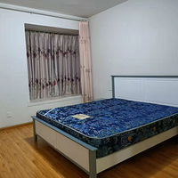 ����԰��������1500