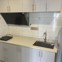 ����������Ԣ����