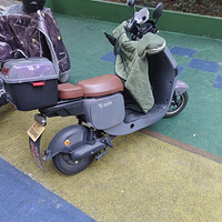 �����ֵ綯��