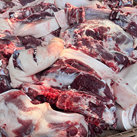 1�������������⣬�е㳩��