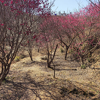 ÷������