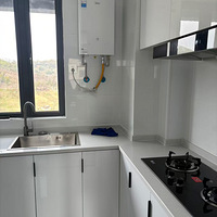 �����������з�����