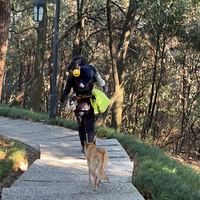 �ճ���С����������Ԥ���С���