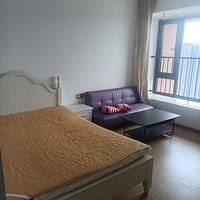 ��ɽԽ�㶫��һ��һ�����ϴ�Ʈ������ֱ��۸�800
