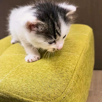 Сè����
