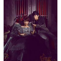 ����������ʲô����������