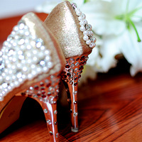 �������ϵ�С����ٶ�����~