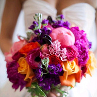 �＾��������������Ʒ�ͣ�ů��ɫ�����ʻơ���õ�졭��