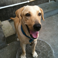 �Ҽҵ���������Ȯ