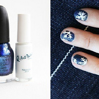 ָ��ʥ������ �����������