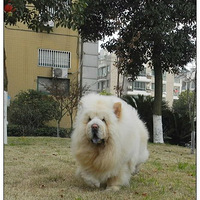 ����ʨŵ��һ���ˣ�ɹ˧�գ�