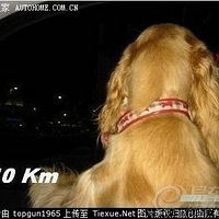 쭳ʱпǹĸ!!!!!
