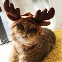 �����Ｏ�᡿���Ⱥ��ȵĹ��£���û��һ���ȵ��㣿