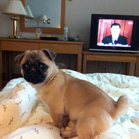 �Ҽ��ǿ�������Ȼ�~