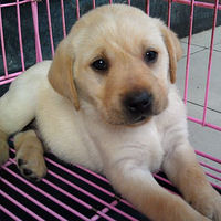 ���ǵ���Щ��ǰ��СQ��