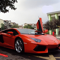 ţġڲLP700