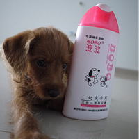 �ȱȿ�˭�ҵĹ�������