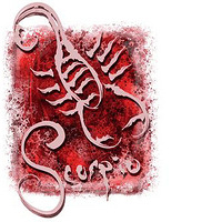 ��Щ��û׷����Ů��