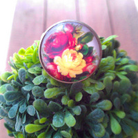 DIY�������Ƹ����Ŀ��ָ ��ͼ������