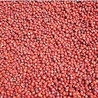 �춹 �׶� �̶� �ƶ� �ڶ���ҽ�ƹ���