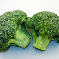 Ƥ����ϲ����ʮ��ʳ��