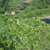 8.5̨����־���ѻ����Ŷ���ɳ̲�Σ��տ�����Ӿ����������