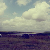 ��ã�������������İ�����Ƭ���Ǻܶ࣬����������ҳ���档