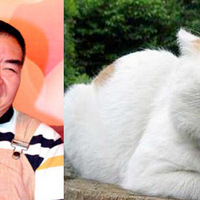 818��Щ�����������ǰ�������