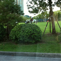 ��������㳡���������