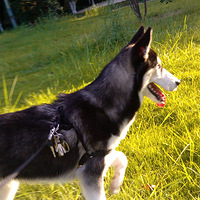 ��9��22�Ÿ�����20¥�������ڸ������ա������ʿ�桪������