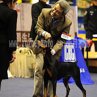 �����а��衿+�ű�