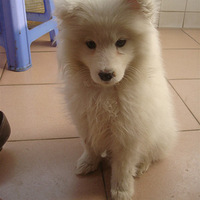 �����а��衿+���ۼҵ�С����