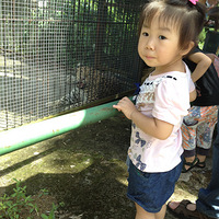 ��10С�ֶӡ����붯��԰+ʮ�˵����տ�����ͼƬ���Һ�ը��