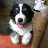 С��������