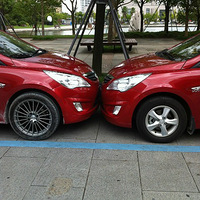 ��� �������������ˣ���ͣ��������һ���� ţ��