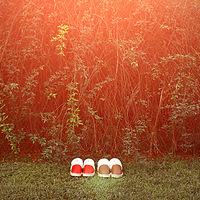 �ϸ������Ա����ĵ꣬��ůЬͻȻ�������ˡ�����