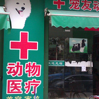 �ҼҶ���������� ~~`~���ѿ�~~~~~