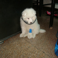 �Ҽҵ����˱�