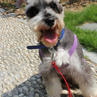 �����а��衿�ȳ���椣�ѩ���� �����