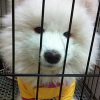 �����а��衿�Ҽ�NONO    ������