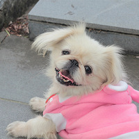 �Ҽ����˹�