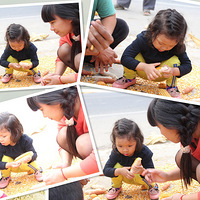 ��С�����Ѵ�������+2��11�¶�+����������������